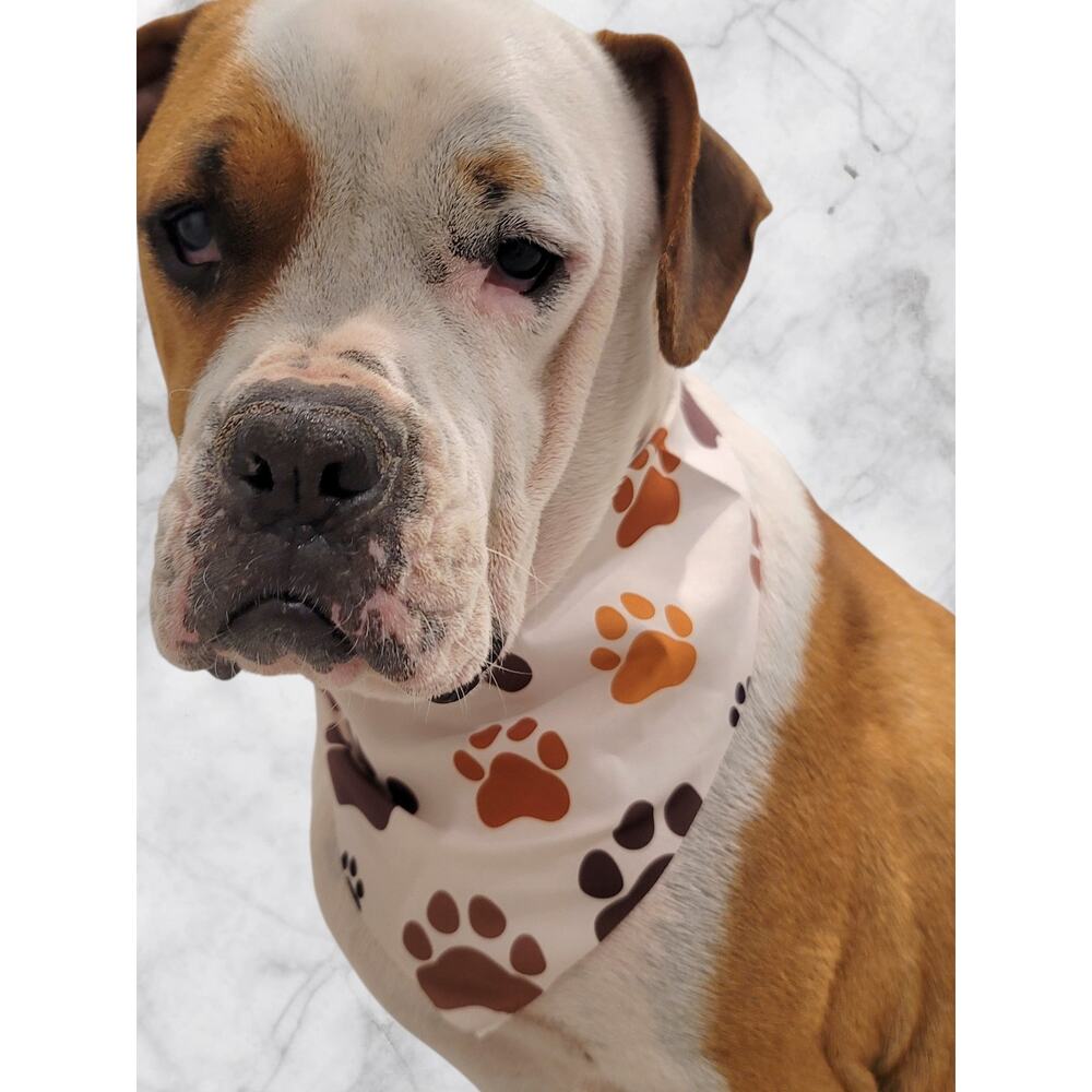 White Pet Bandana Neutral Paw Print